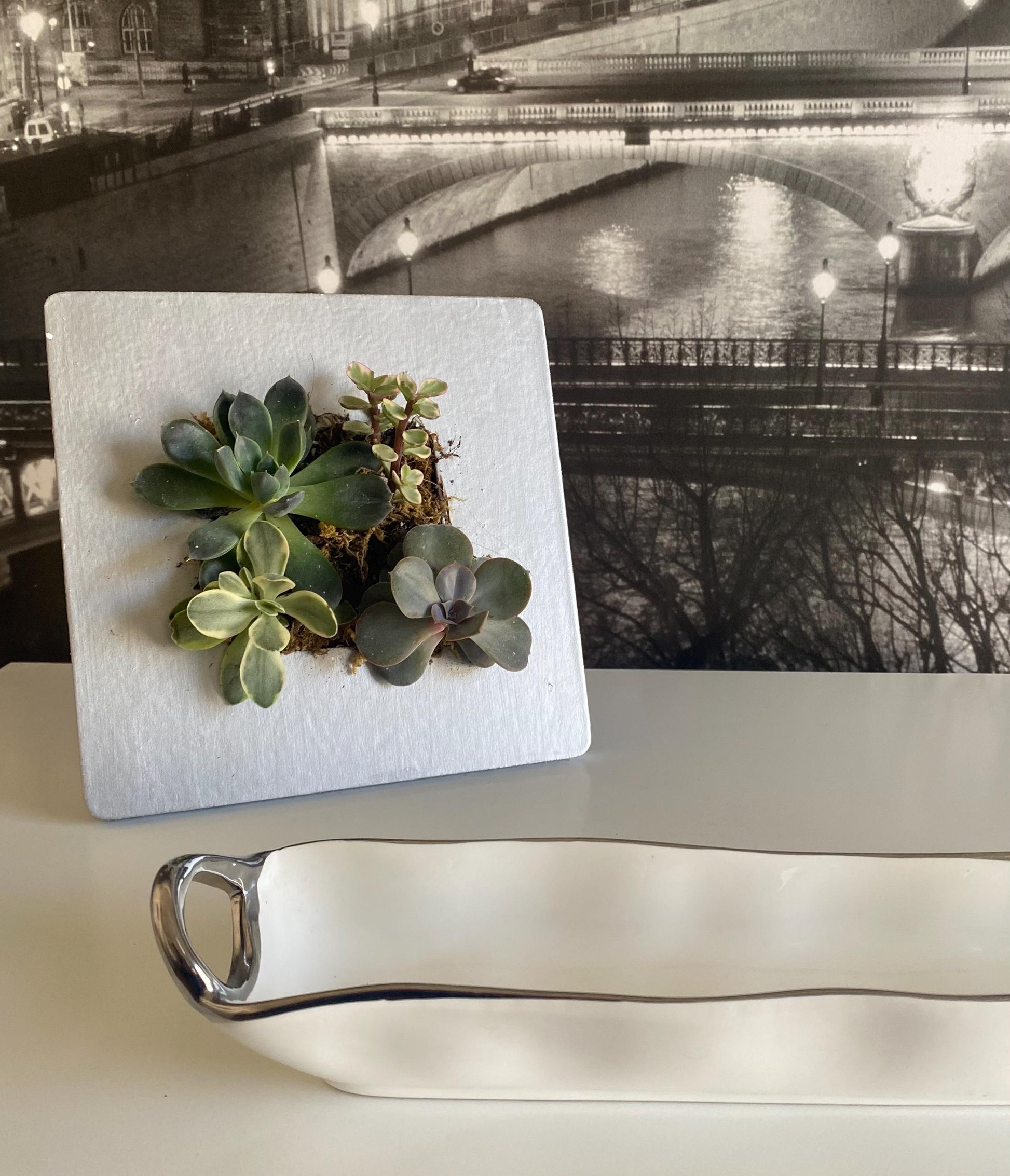 Living Painting of Succulents - Minimalist Decoration in Silver Frame, minimalist succulent decor/ Original gift for plant lovers